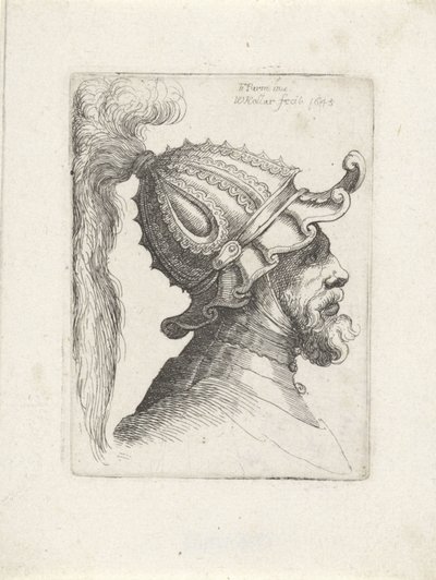 Hoofd van een man met gepluimde helm door Wenceslaus Hollar