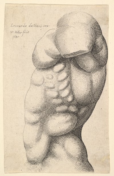 Mannelijke torso van nek tot heup in profiel naar links door Wenceslaus Hollar