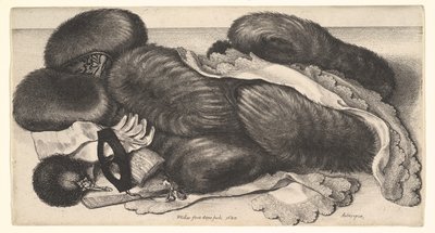 door Wenceslaus Hollar