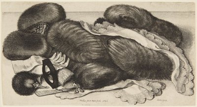 Moffen en opschik door Wenceslaus Hollar