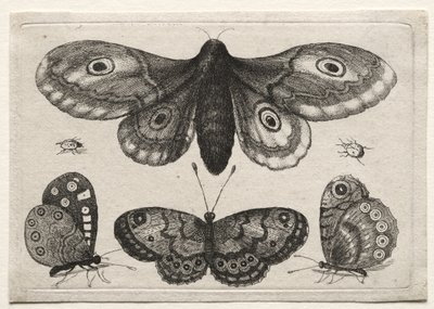  door Wenceslaus Hollar