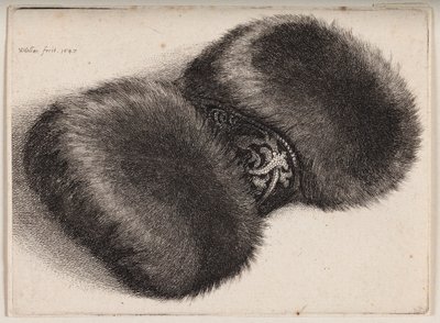  door Wenceslaus Hollar