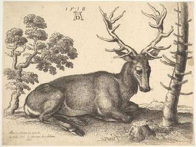 Hert liggend naar rechts door Wenceslaus Hollar