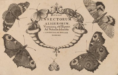 Titelpagina door Wenceslaus Hollar