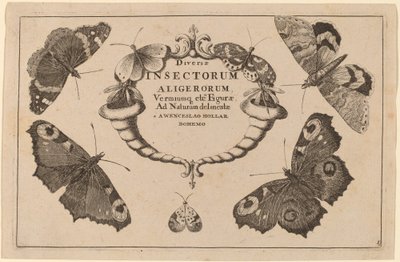 Titelpagina door Wenceslaus Hollar