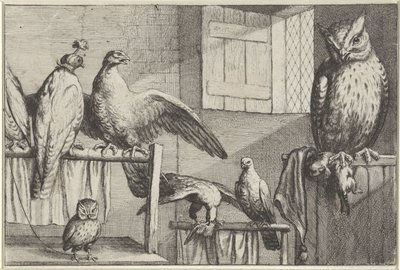 Valken en uilen in een schuur door Wenceslaus Hollar