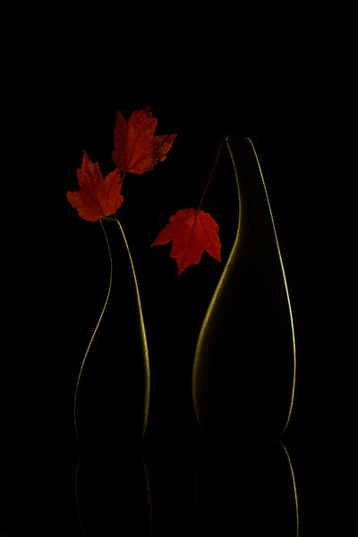  door Wendy Xu