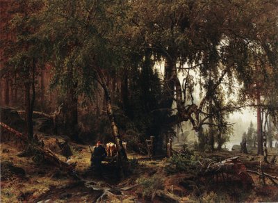 Bos in de regen door Werner Holmberg