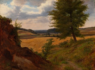 Boom in veldlandschap, studie door Werner Holmberg