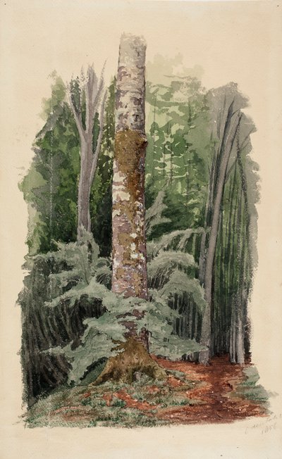  door Werner Holmberg