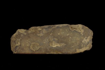 Fragment van een ceremonieel wapen (jade (nefriet)) door Western Zhou Dynasty Chinese School
