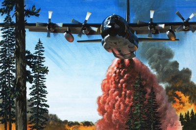 Een bosbrand bombarderen door Wilf (20th century) Hardy