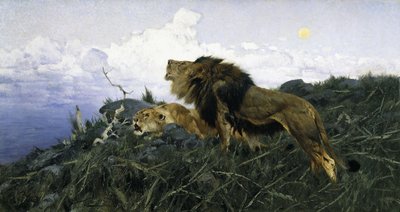 Leeuwen bij schemering door Wilhelm Kuhnert