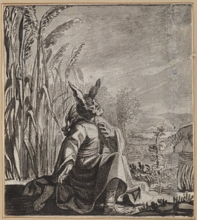 De wensende dwaas door Wilhelm Stettler