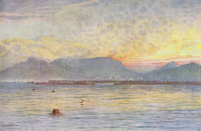 Kaapstad vanaf Tafelbaai door Wilhelm Westhofen