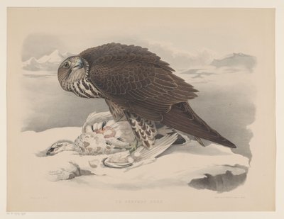 Giervalk met sneeuwhoen door Willem Bastiaan van Wouw