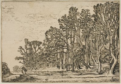 Landschap met Plank-Heggen en Man die Hout Draagt door Willem Buytewech