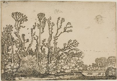 Landschap met Bomen, Vijver en Schapen door Willem Buytewech