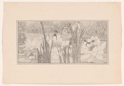 Waterlelies door Willem C. Scherjon