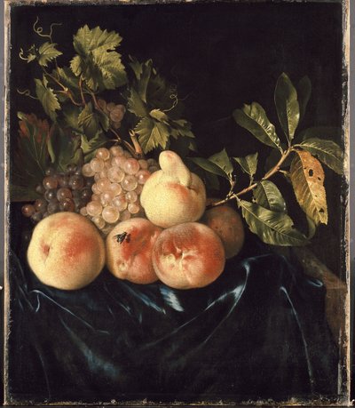 Stilleven met perziken en druiven door Willem Frederik van Royen