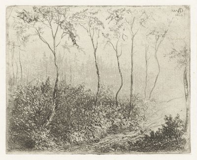 Boslandschap door Willem Matthias Jan van Dielen