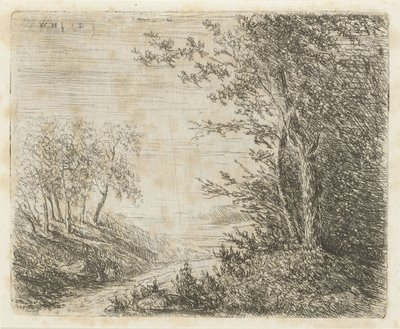 Heuvellandschap met beek door Willem Matthias Jan van Dielen
