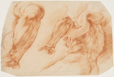 Laocoon. Studies van Laocoon