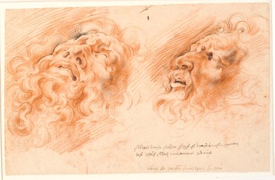 Laocoon. Twee studies van Laocoons gezicht, één gezien van voren van onderen, en de andere in profiel naar links. door Willem Panneels