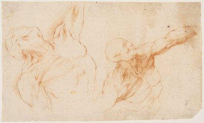 Twee anatomische studies (écorchés). Gevild torso van een man, zijn linkerarm opgeheven door Willem Panneels