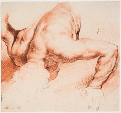 Worstelaars. Antieke beeldengroep. Onderste figuur door Willem Panneels