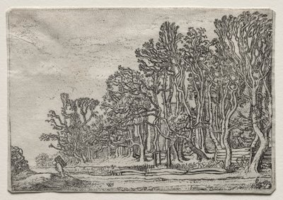 De Set van de Landschappen: Twee Plank-Heggen door Willem Pietersz Buytewech