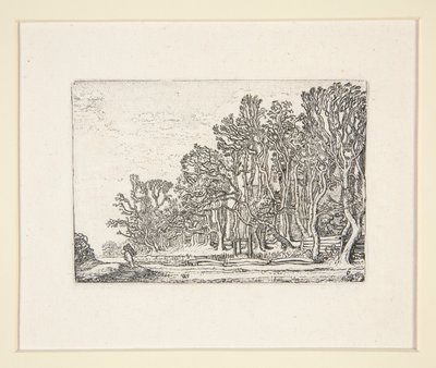 Twee plank-hekken, Plaat 6 uit De Set van de Landschappen door Willem Pietersz. Buytewech