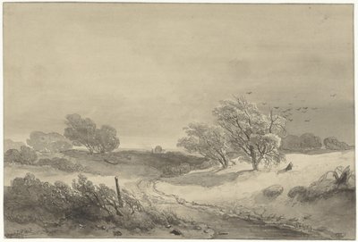 Duinlandschap in somber weer door Willem Roelofs (I)