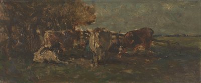  door Willem Roelofs
