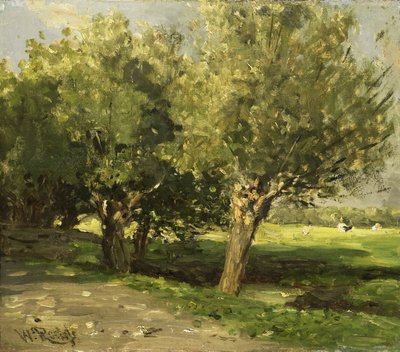  door Willem Roelofs