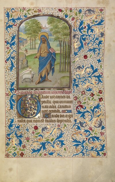 Johannes der Täufer door Willem Vrelant