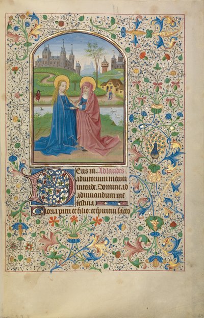 Die Heimsuchung door Willem Vrelant