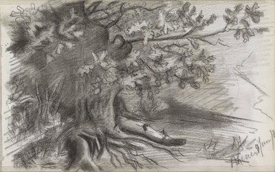 Landschap met een grote boom in Rhenen door Willem Arnoldus Witsen