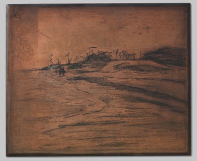 Valkeveen aan de Zuiderzee door Willem Arnoldus Witsen
