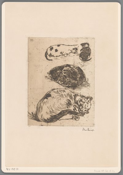 Studie van katten door Willem de Zwart (signed by artist)