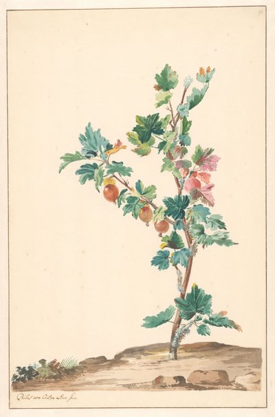 Een kruisbes in een landschap door Willem van Leen (attributed to)