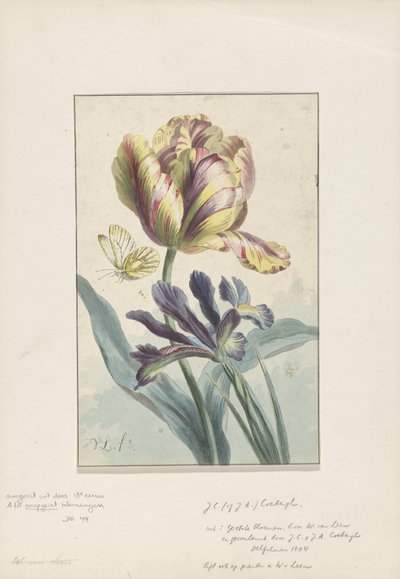 Tulp en iris door Willem van Leen