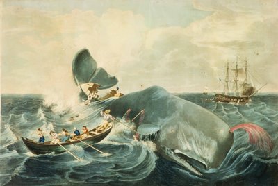 Het vangen van een potvis, gegraveerd door J. Hill, gepubliceerd 1835 (aquatint in kleur) door William (after) Page