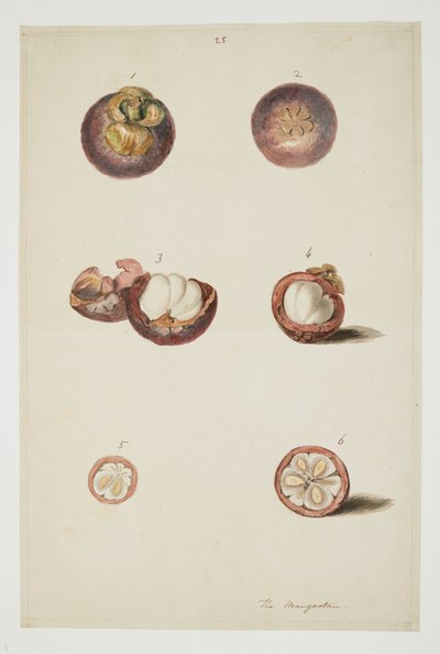 WD 961 f.25 door William Alexander
