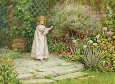 Mijn Tuin door William Ashburner