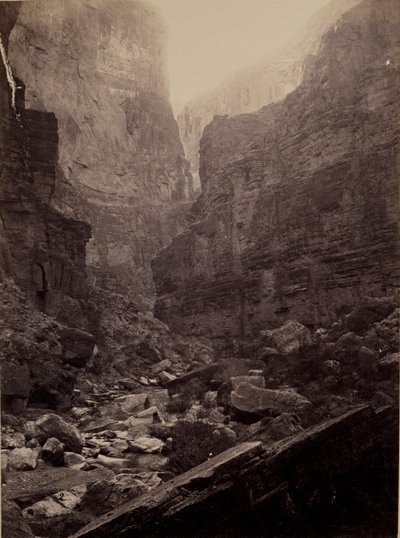 Cañon van Kanab Wash, Colorado River, Kijkend naar het Noorden door William Bell
