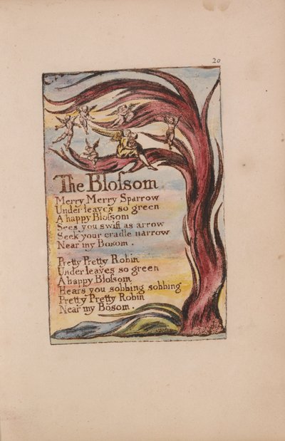 Songs of Innocence and of Experience, Plaat 20, The Blossom (Bentley 11) door William Blake