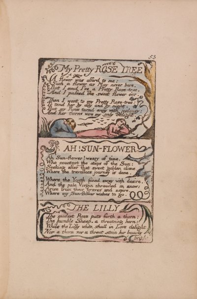Liederen van Onschuld en Ervaring, Plaat 53, Mijn Mooie Rozenboom, Ah! Zonnebloem, De Lelie door William Blake