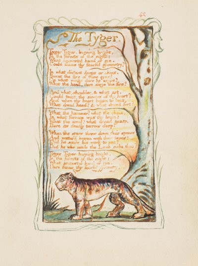 Liederen van onschuld en ervaring: De tijger, ca. 1825 door William Blake