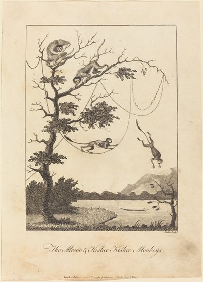 De Mecoo & Kisbee Kishee Apen, 1793 door William Blake